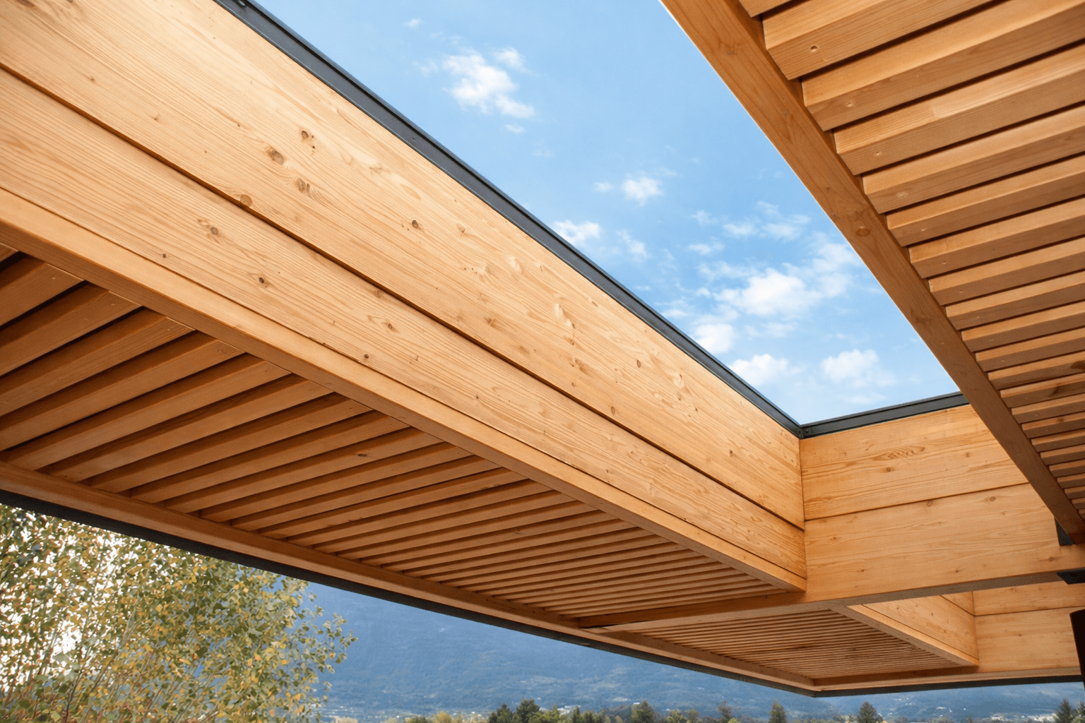 Dalla materia alla struttura