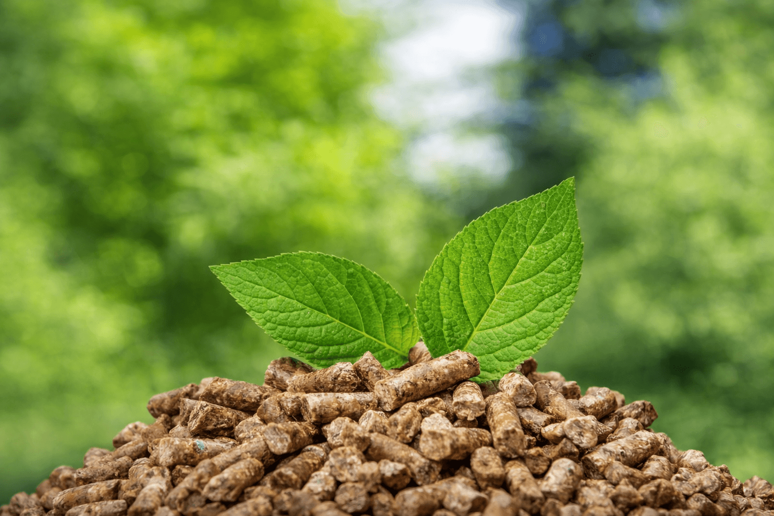 Certificazioni pellet Pine Industries