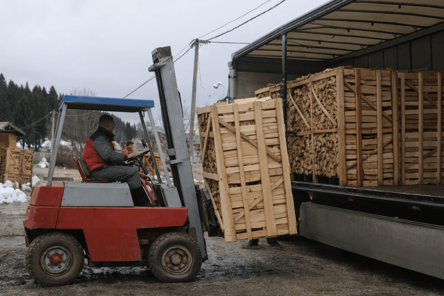 Legna da ardere dettaglio