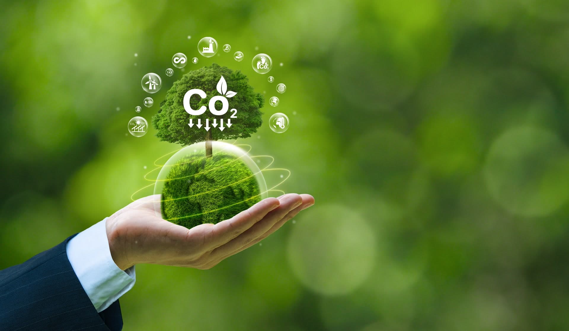 Vista aerea di pannelli solari integrati nella natura